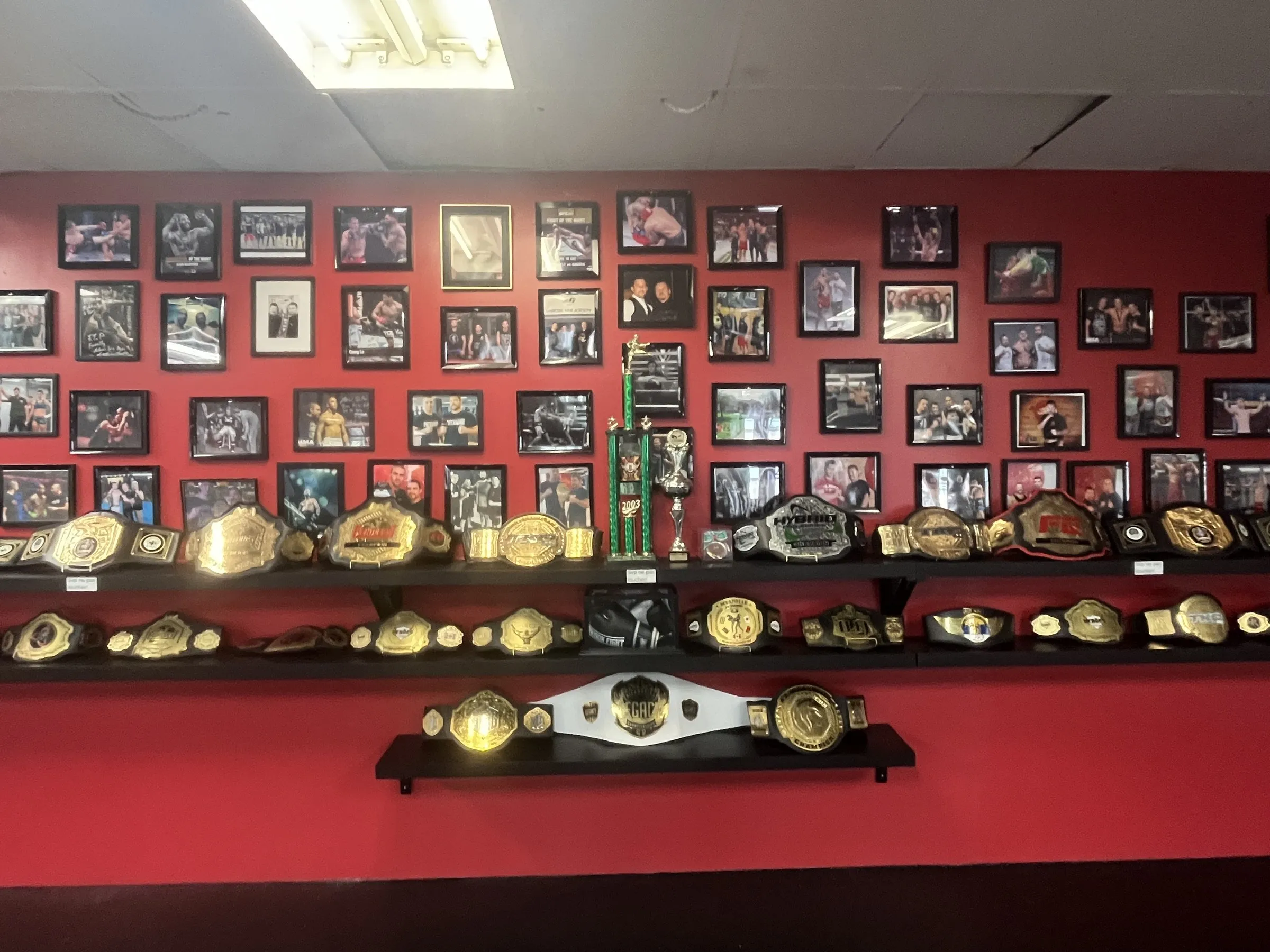 Le mur des ceintures de championnat à l'académie Arts Martiaux Patenaude de Gatineau